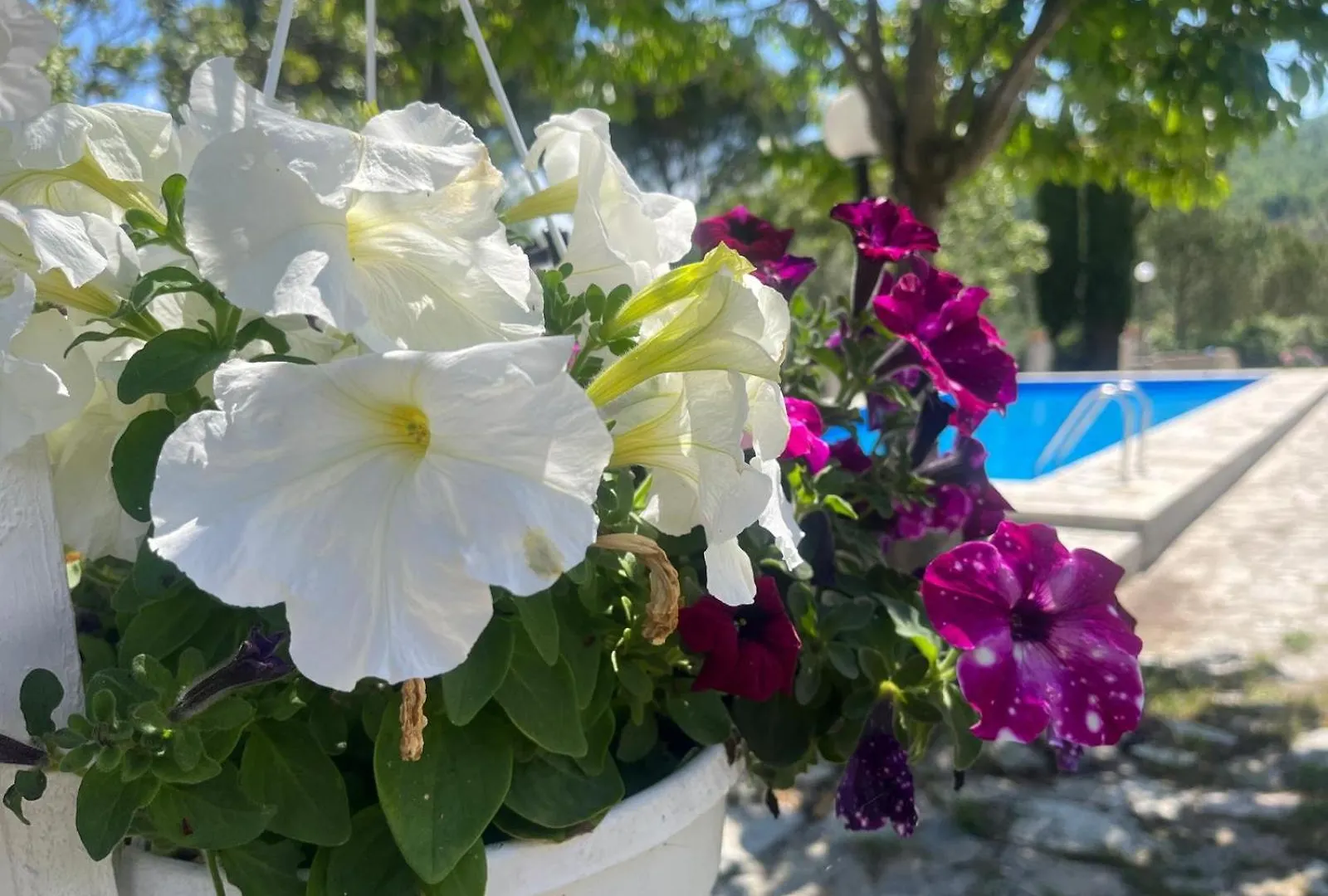Casa Bianca Villa Vaiano  Tatil Evi Vaiano (Tuscany)